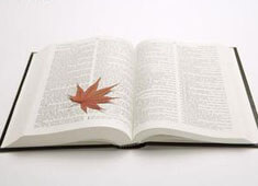 千钧一发:日本选手卓越表现