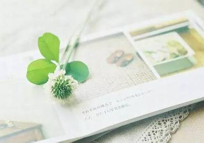 南安普顿主场逼平水晶宫，难分高下